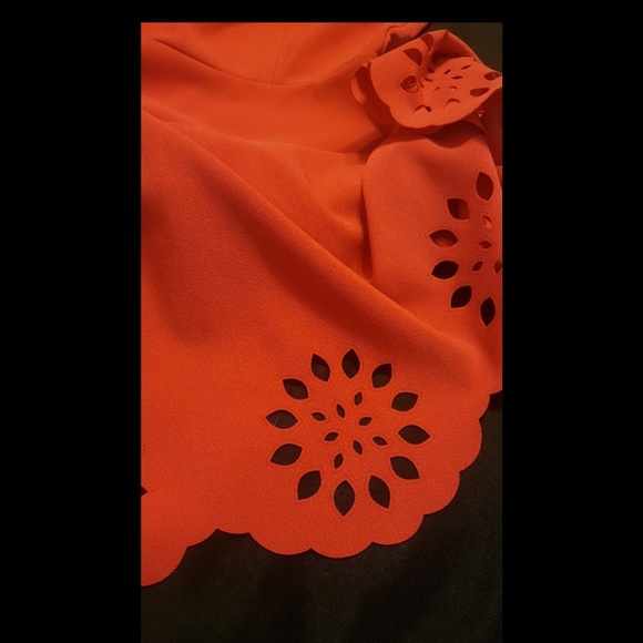 Red Sundres - Picture 4 of 4